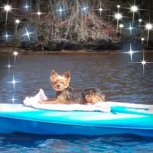 Meet your Posher, Shirley